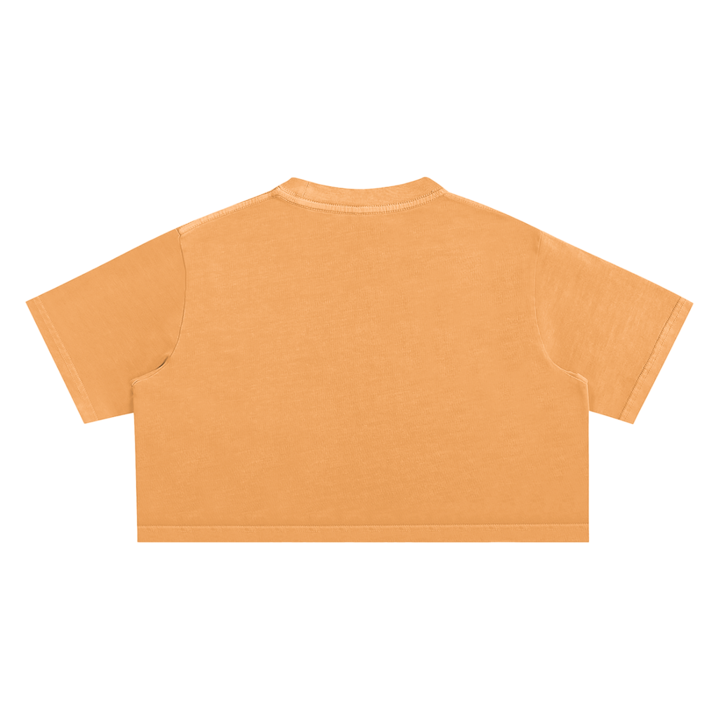 Snow Washed Cropped Top