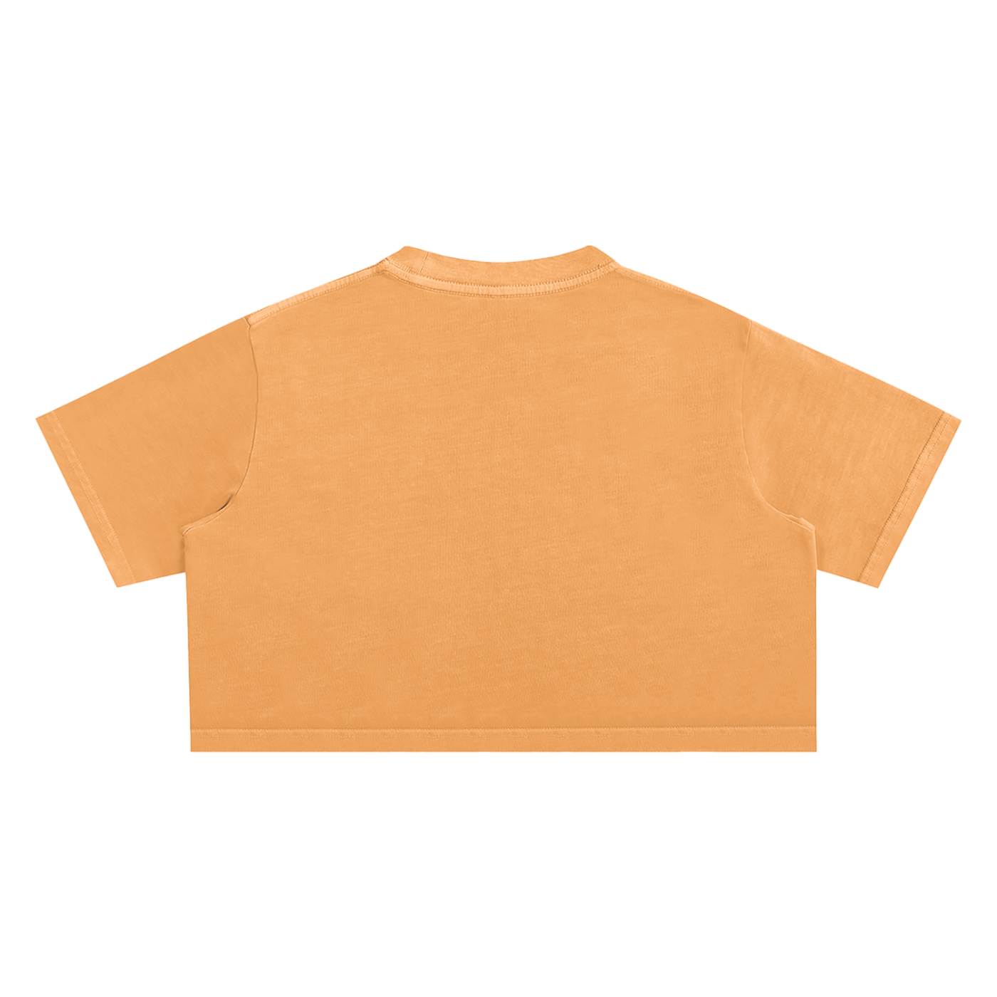 Snow Washed Cropped Top