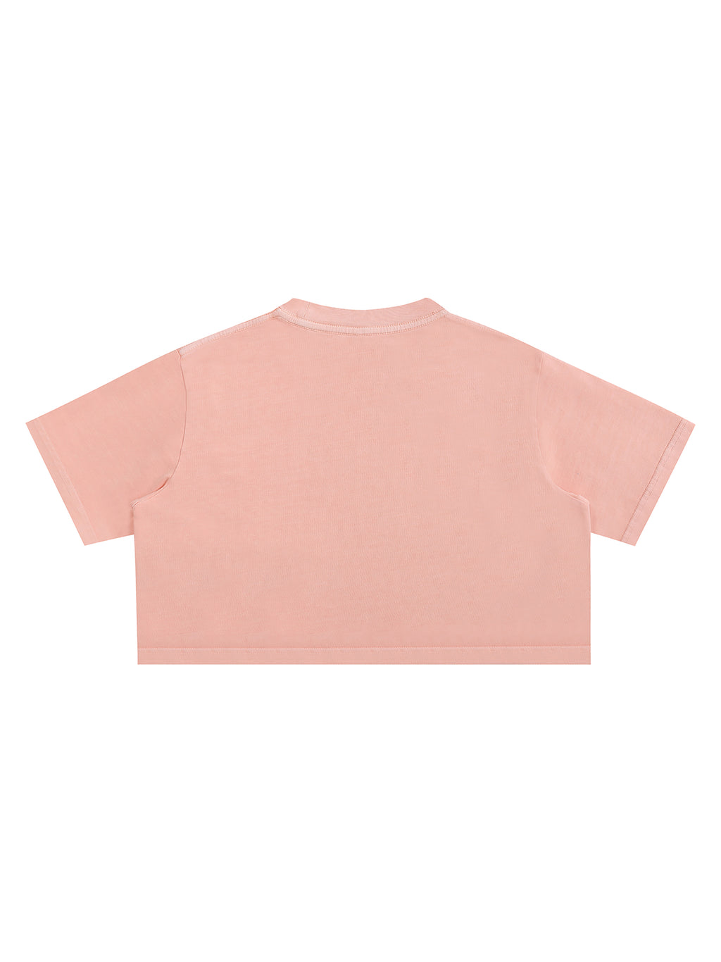 Snow Washed Cropped Top