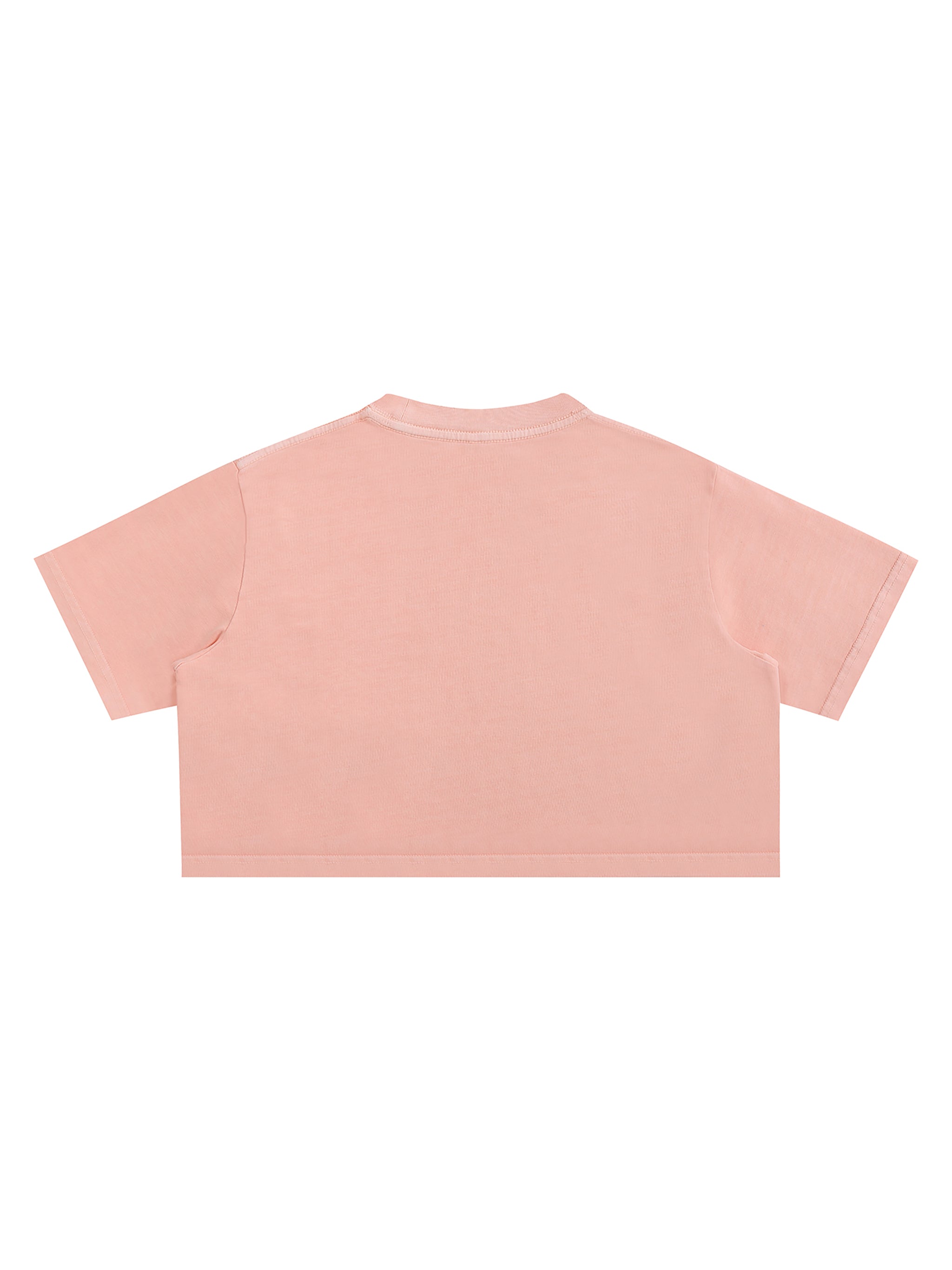 Snow Washed Cropped Top